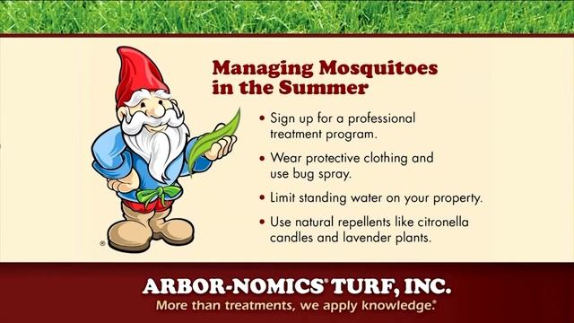 Atlanta Plugged In - Managing Mosquitoes In The Summer