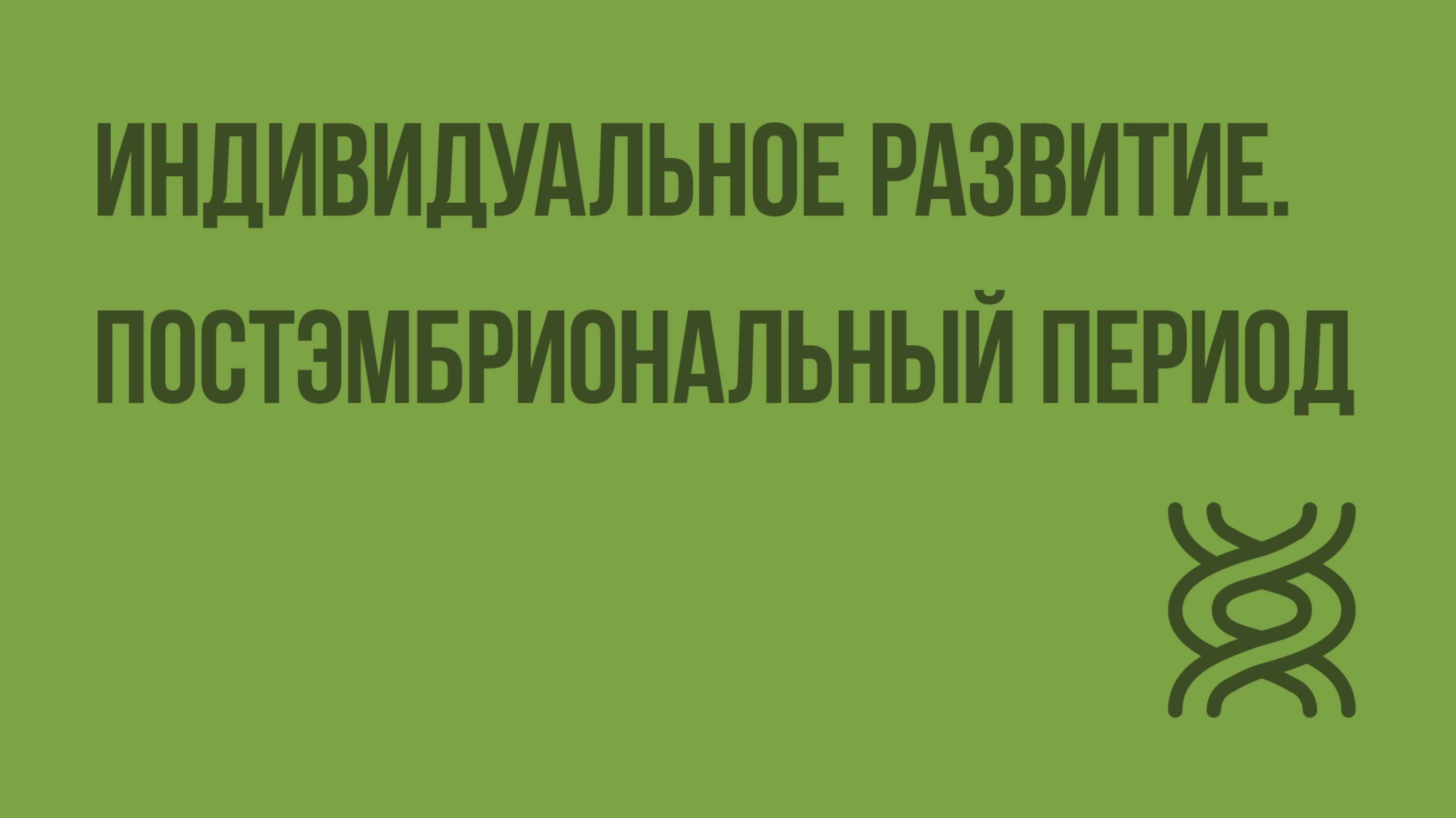 Индивидуальное развитие. Постэмбриональный период. Видеоурок по биологии 10 класс