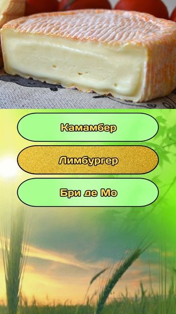 Викторина на общие знания и эрудицию №8 / Тест на эрудицию #викторина #тест #эрудиция #квиз #quiz