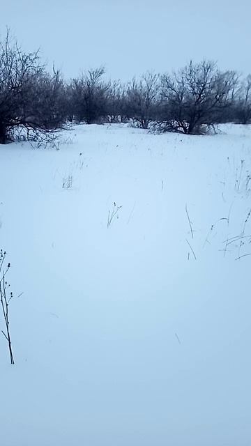 Дорога на Пасеку 🐝