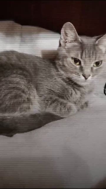1000024230.mp4