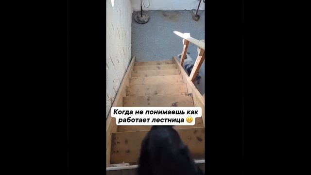 Лестница