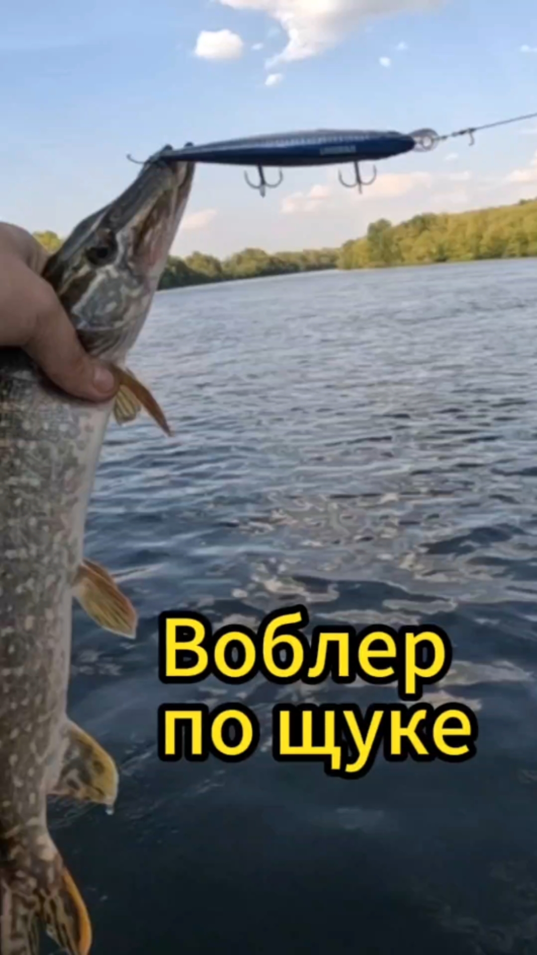Приманка на щуку, которая работает! Разловил этот воблер неоднократно в течении сезона