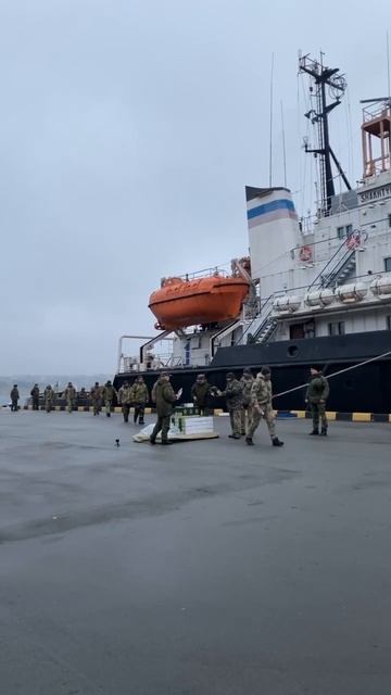 Добровольная сдача в плен украинских военных на острове Змеиный, февраль 2022