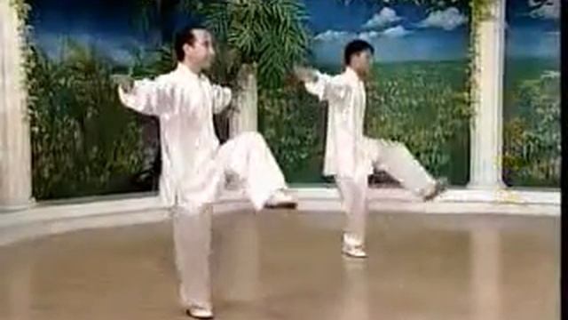 ТайЦзи Чжан№1