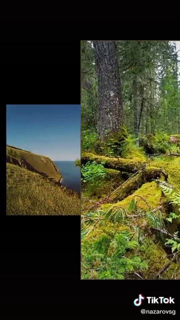 на природу 🍀☘️🌿