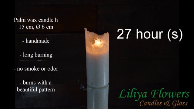 Burning palm wax candle (timelapse)