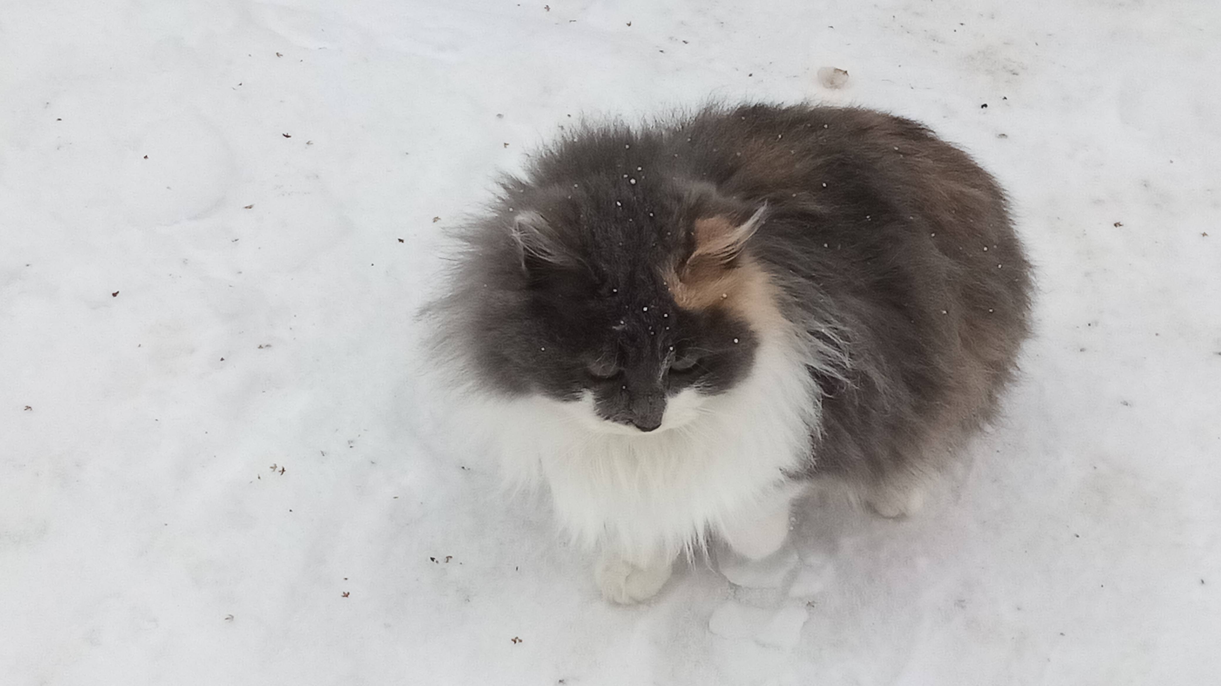 Они всегда меня ждут!