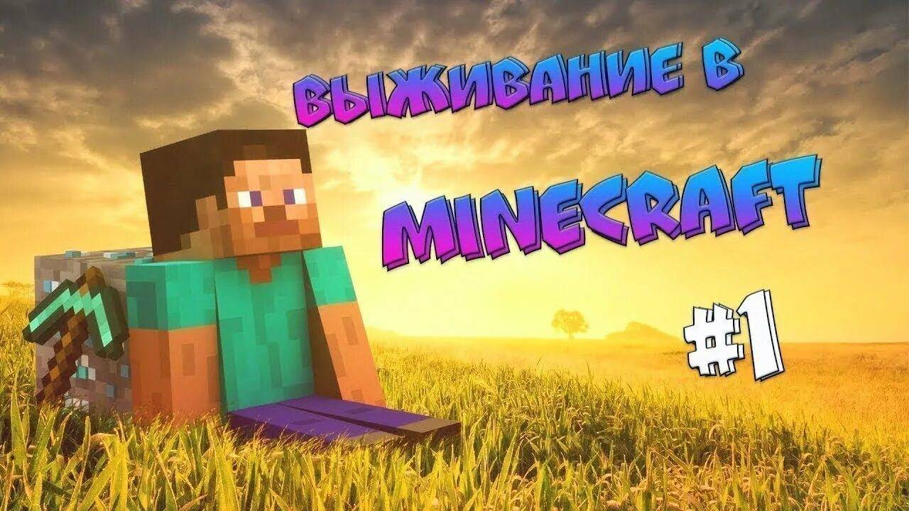 ираю на выживание на сервере skybars.me