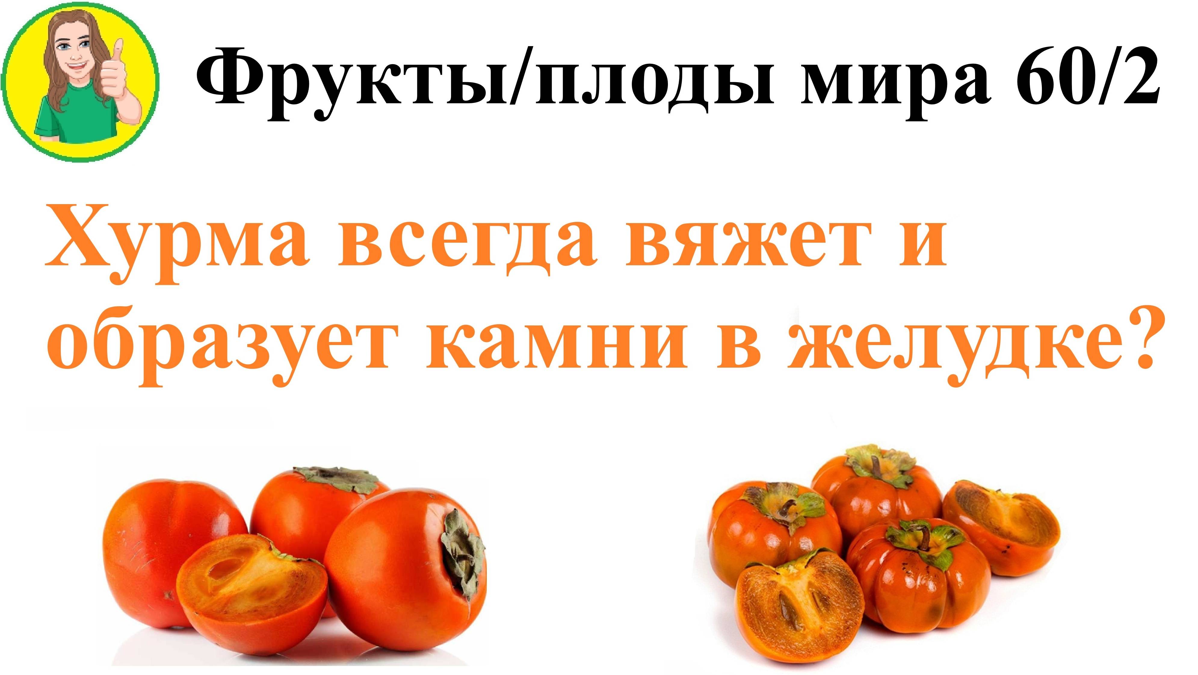 Фрукты - плоды мира 60/2 – Хурма вяжет и образует камни в желудке? Фитобезоары