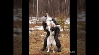 Стив! Не могли не поделиться)))) Стив поднимет настроение всем на прогулке. Приходите!