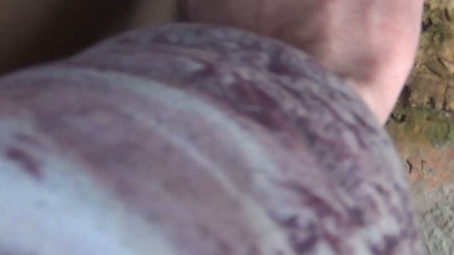 Варим печь для бани подового горения с закрытой каменкой