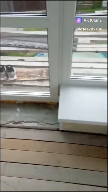 1000011564.mp4