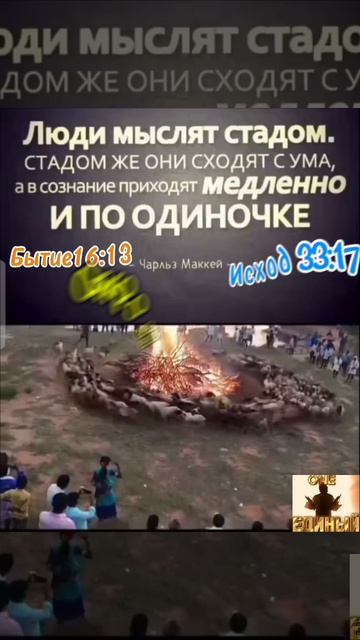 Пока просыпаться !