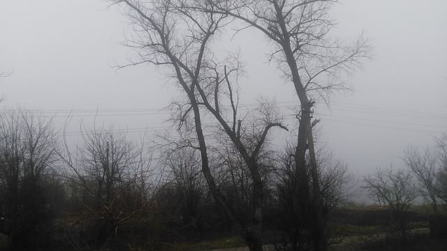 VID_20250127_094800.mp4