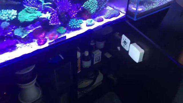 Having someone Service your tank does not make your tank their responsibility