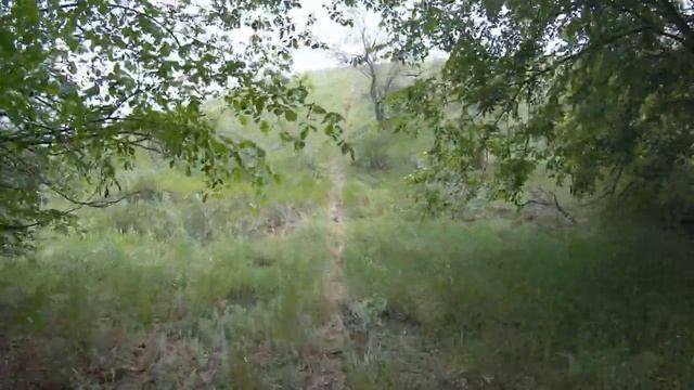 Разметка эндуро трассы и все такое