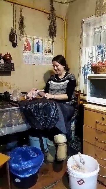 03.01.25 домашний куриный агрохолдинг