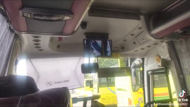 Ceres Bus Free Movies