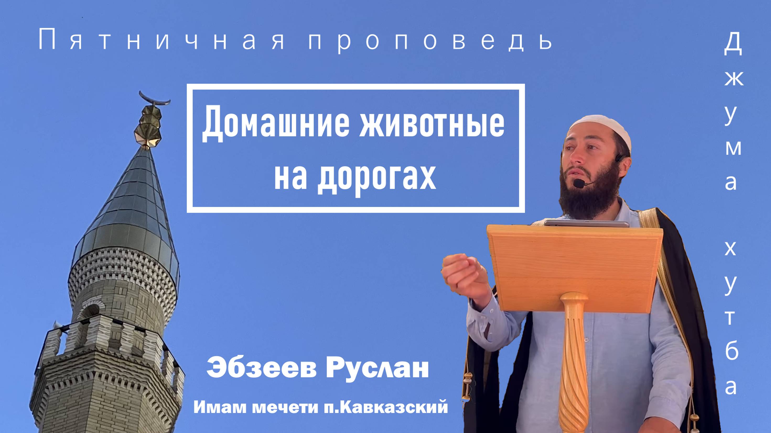 Домашние животные на дорогах / ПЯТНИЧНАЯ ПРОПОВЕДЬ