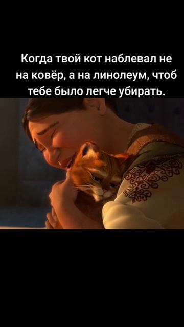 Немного жизы