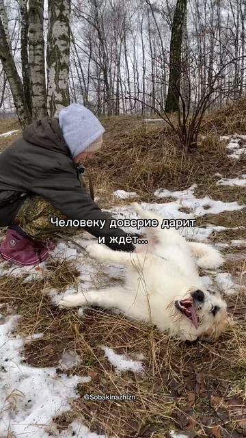 Мишка ищет дом