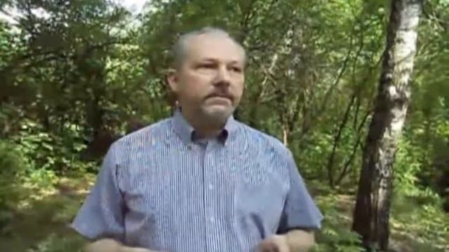 Александр Панасенко - «Телосоэргономика» - Школа управления временем