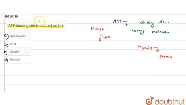 ATP binding site is located on the