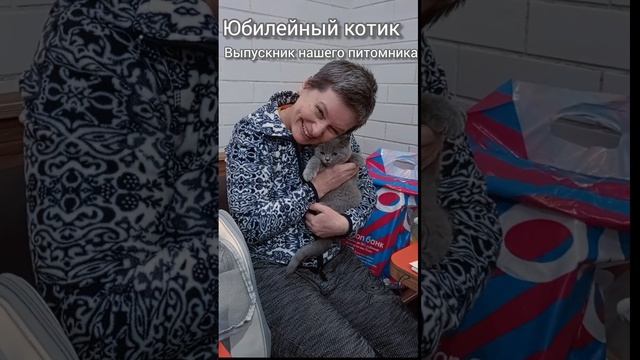 Посмотрите, наш юбилейный выпускник питомника британских котят