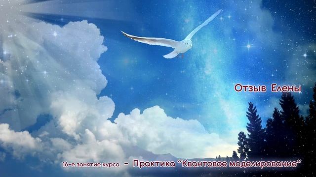 Отзыв Елены о Практике Квантового Моделирования