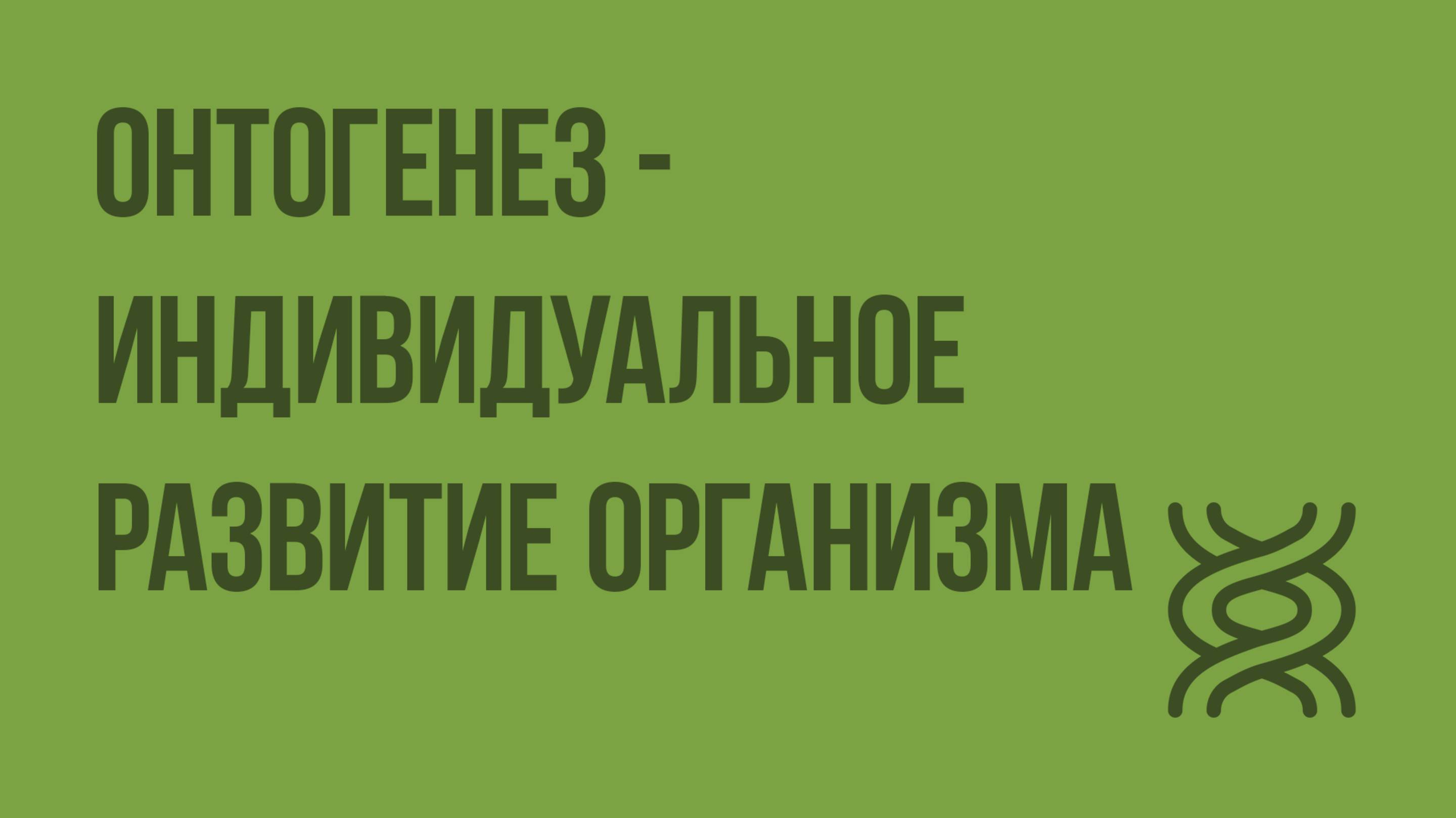 Онтогенез - индивидуальное развитие организма. Видеоурок по биологии 10 класс