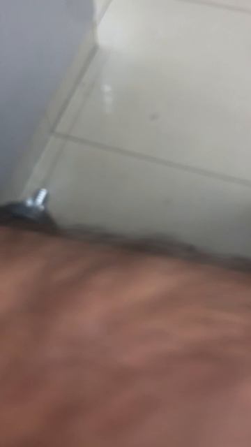 27-01-2025
