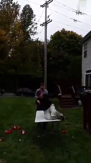 1000048311.mp4