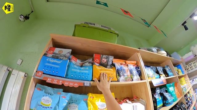 房车自驾游终于得空彻底修车，解决两年来拖拉的问题，问题还很多#RV failure #RV repair