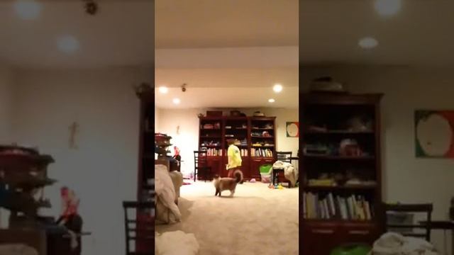 Hover tech flying-bot