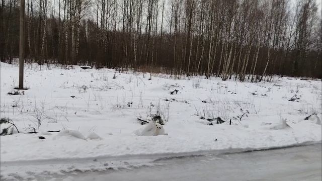 День № 2:оттепель "разгулялась"