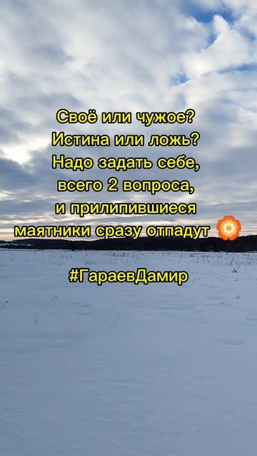 Своё или чужое? #свое #чужое #истина #ложь #your #alien #truth #lie #ГараевДамир #GaraevDamir #short
