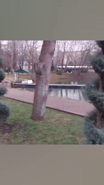 1000018044.mp4