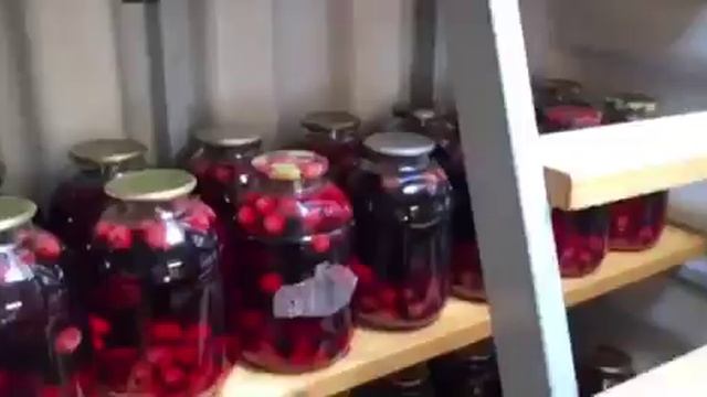 02_Отзыв на погреб Тингард #2