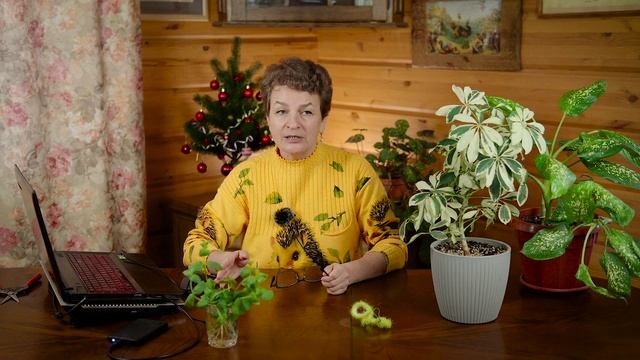 Северное киви и второй женьшень. Садовый клуб Наталии Петренко