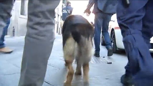 2015-12-02 - SPACCIO AL SERRAGLIO, ORA I CANI ANTIDROGA SALIRANNO ANCHE SUI TRENI