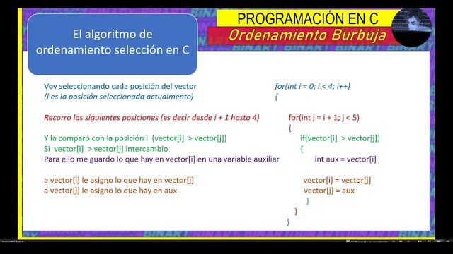 Programación en C: Como ordenar un vector | Algoritmo selección