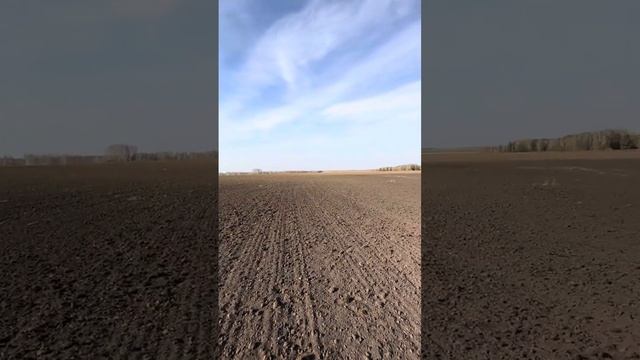 Урал. 8.10.24