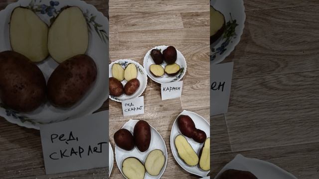 1000003035.mp4