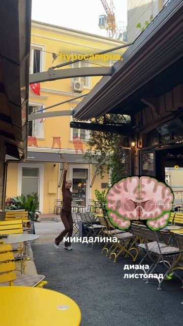 Мифы про мозг🧠

#рекомендации #реки #мифы #мозг #мысли #ум #книги #работа #биология #нейробиология