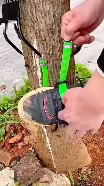 1000022326.mp4