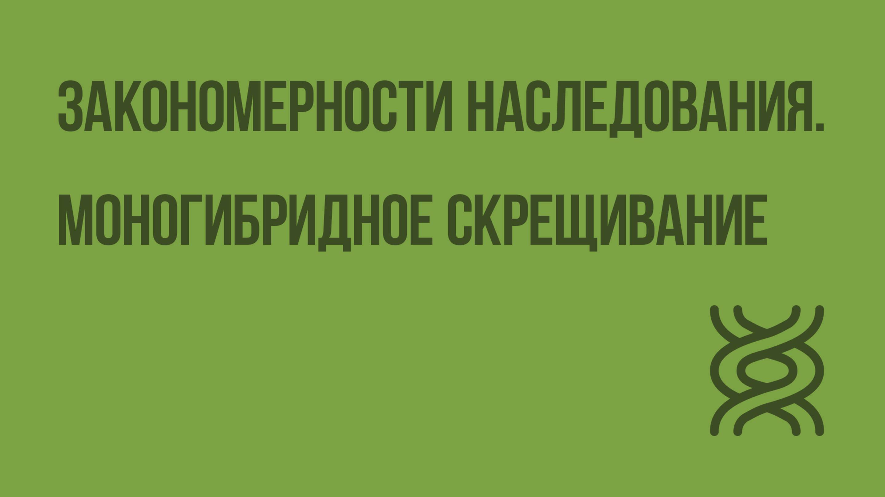 Закономерности наследования. Моногибридное скрещивание. Видеоурок по биологии 10 класс