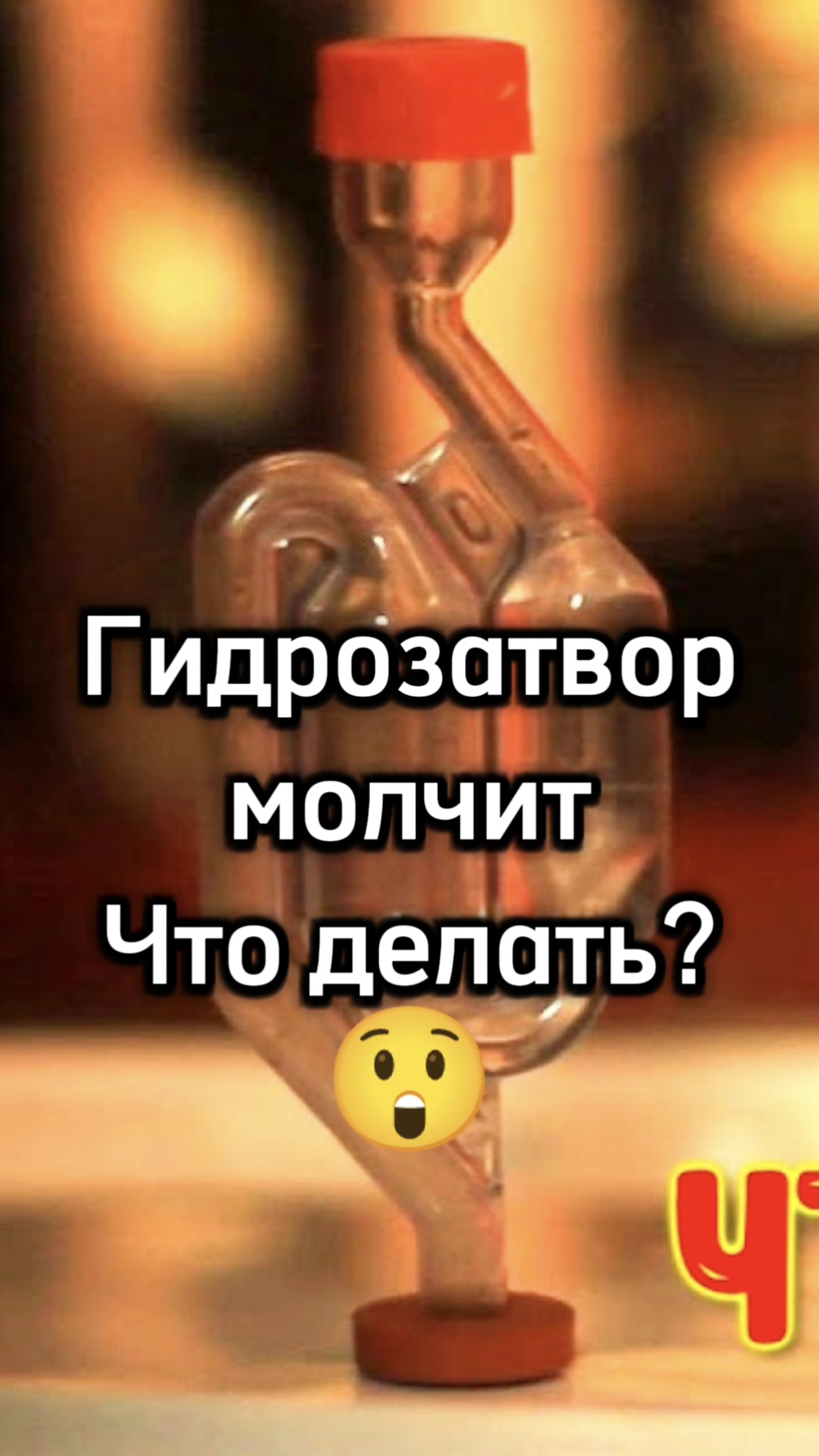 Гидрозатвор молчит,что делать?