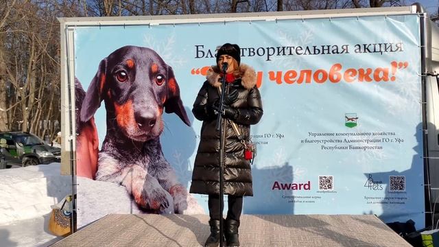 В Уфе прошла акция «Ищу друга»: бездомные животные нашли новые семьи