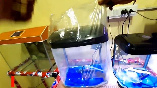 New moulded & custom fish tank New Aquarium fish tank with prices in Bangalore India